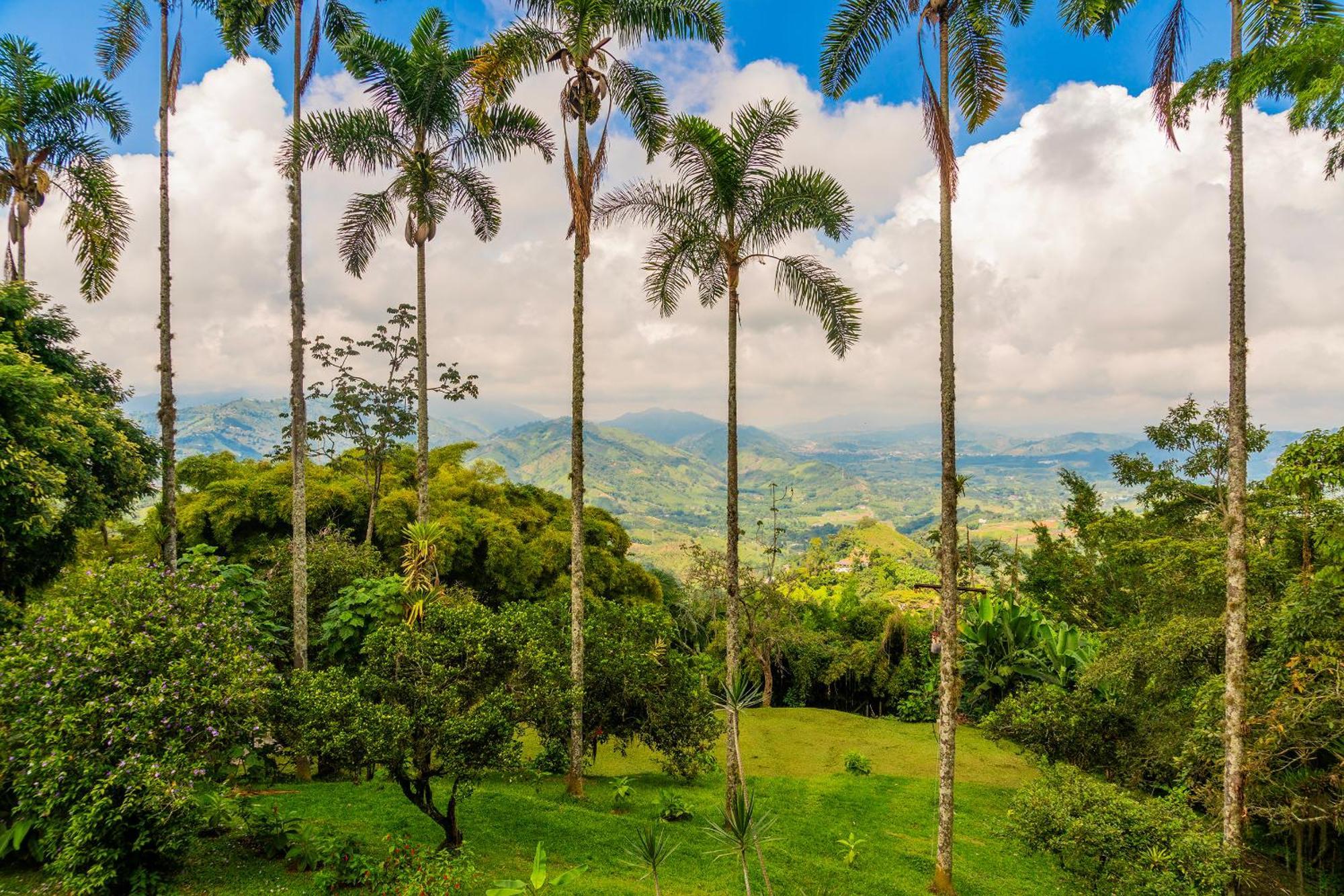 Villa Aldea Sabatinga Manizales Exterior foto