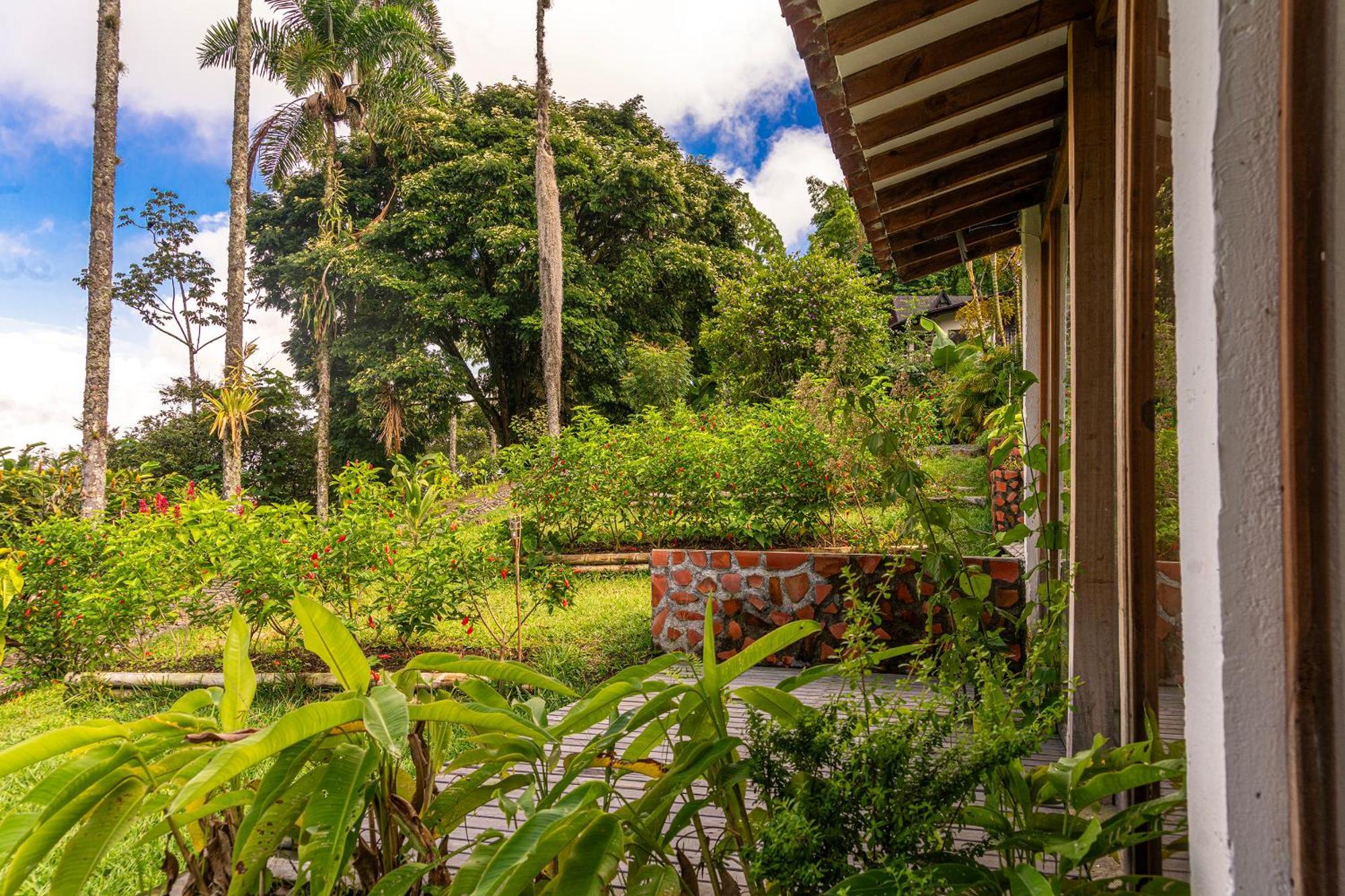 Villa Aldea Sabatinga Manizales Exterior foto